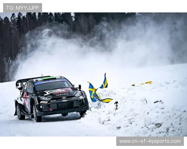 WRC赛事志：车手、团队与粉丝的故事，wrc参赛车队2020