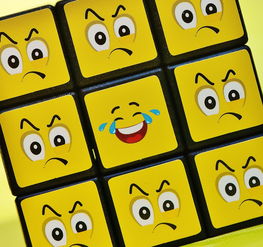 kaiyun体育综合-法甲球队融合表情识别辅助系统进行情绪干预部署